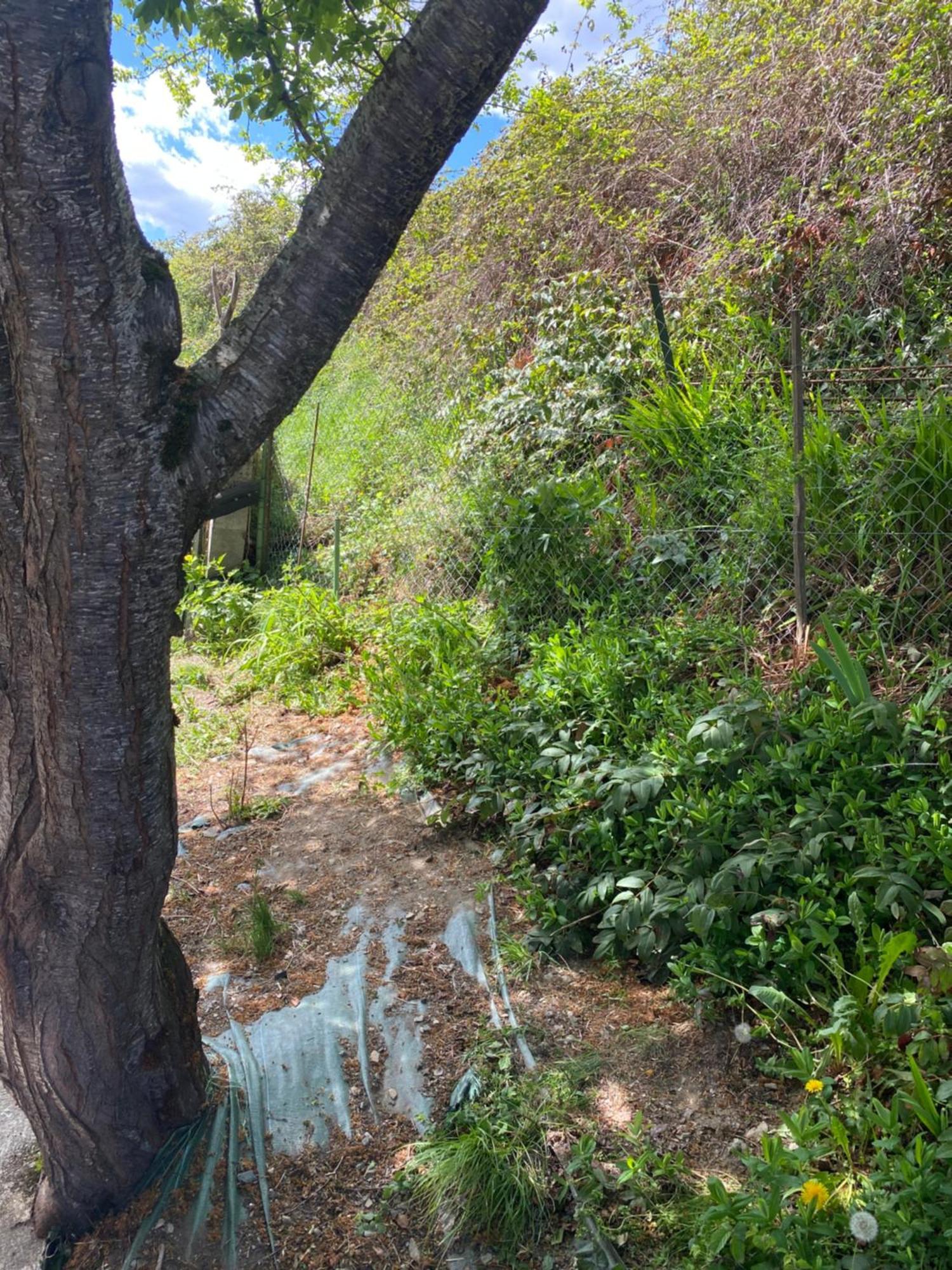 Maison Pyrenees Saint-Aventin Ngoại thất bức ảnh